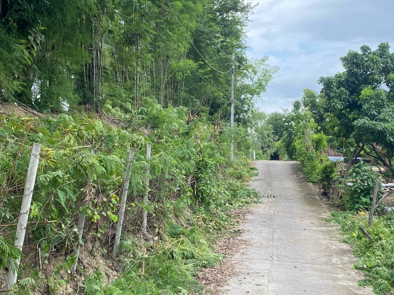 catalogs_file_1493_13_37_733583.webp
