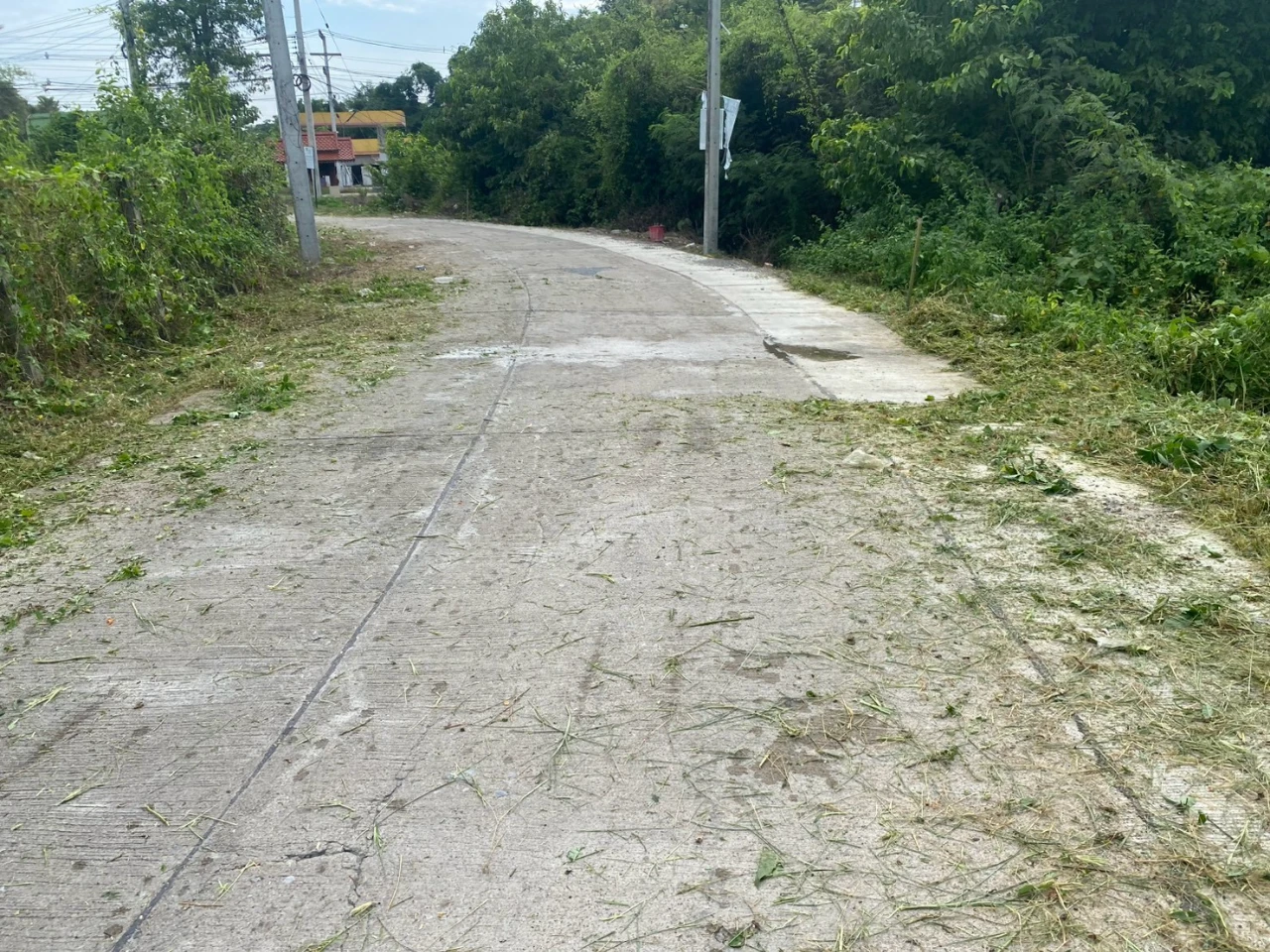 catalogs_file_1453_32_54_393216.webp