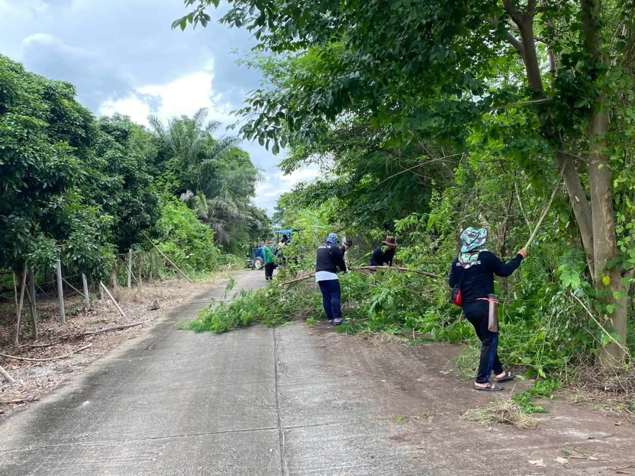 catalogs_file_1501_2_7_342649.webp